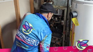 Hummingbird plumbing company in Syracuse